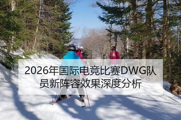 2026年国际电竞比赛DWG队员新阵容效果深度分析